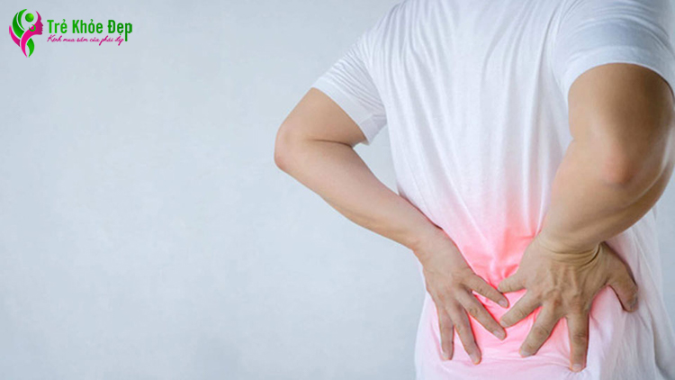 Hiện tượng đau lưng thường gặp ở những đối tượng ngồi lâu