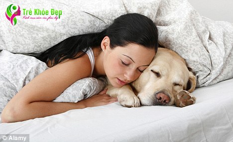 Nếu bạn bị dị ứng, bạn có thể nên suy nghĩ kỹ về việc để vật nuôi như chó hoặc mèo ngủ trên giường